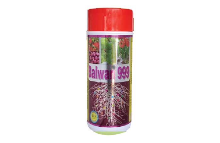 Balwan - 999