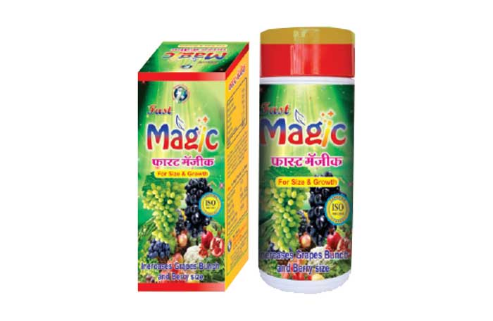 Fast Magic