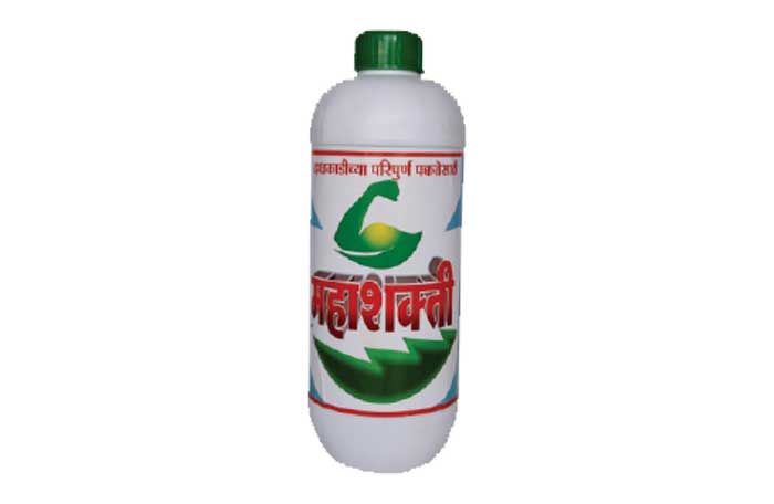 Mahashakti