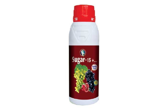 Sugar 15+