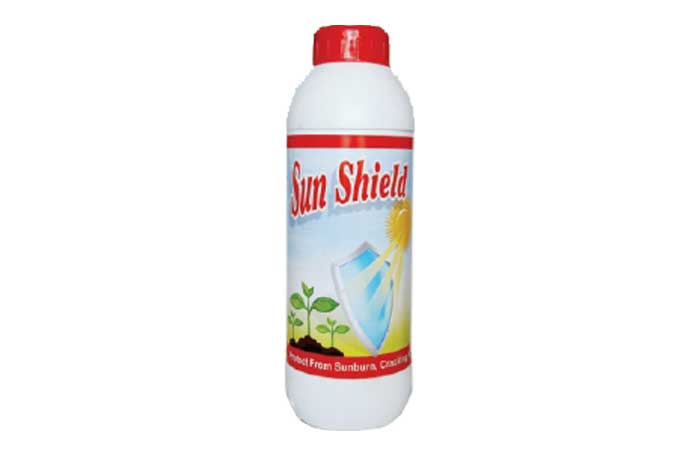 Sun Shild
